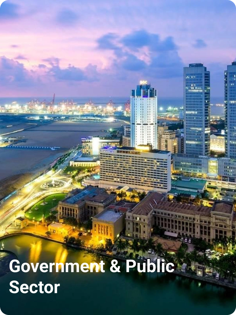 Government & Public Sector